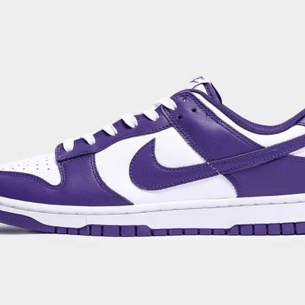Men's SB Dunk Low Court Purple Shoes
