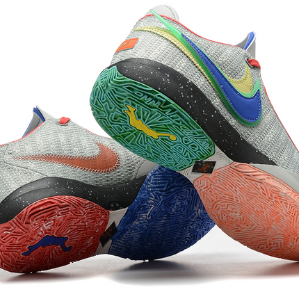 Men's LeBron 20 Nike Lifer Shoes