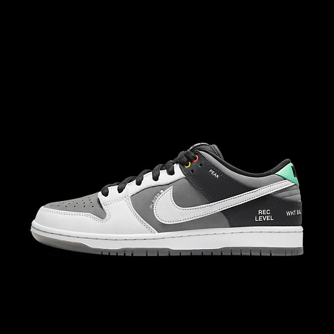 Men's SB Dunk Low Pro Iso VX1000 Camcorder Shoes