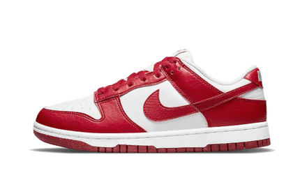 Men's SB Dunk Low Gym Red Shoes