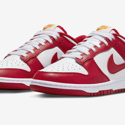Men's SB Dunk Low Gym Red Shoes