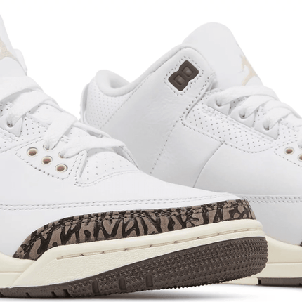 Men's Air Jordan 3 Retro Neapolitan Shoes