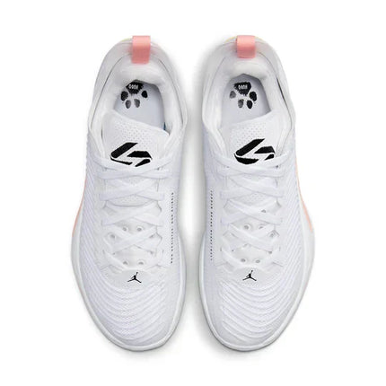 Men's Air Jordan Luka 1 Dog Dad Shoes