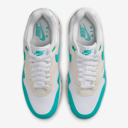 Men's Nike Air Max 1 Dusty Cactus Shoes