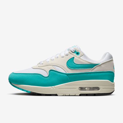 Men's Nike Air Max 1 Dusty Cactus Shoes