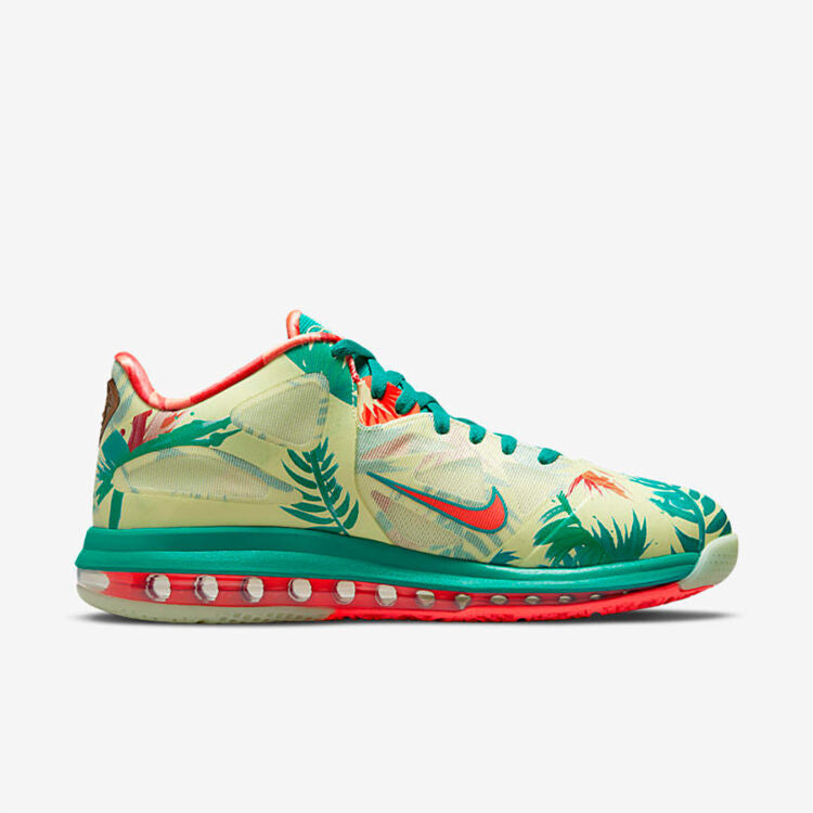 Men's Nike Lebron 9 LeBronold Palmer Shoes