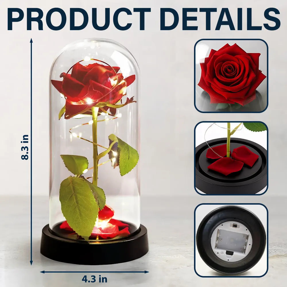 You & Me We Got This - Personalized Everlasting Rose Dome Lamp