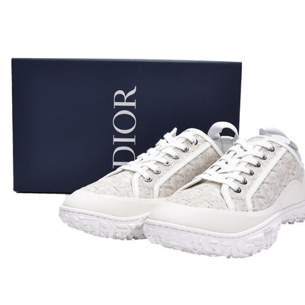 Men's Christian Dior B28 Oblique Flax White Sneaker Shoes